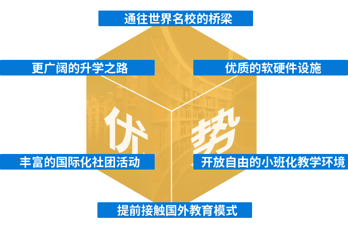 国际学校优势
